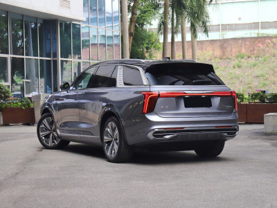 HongQi E-HS9  Фото №6